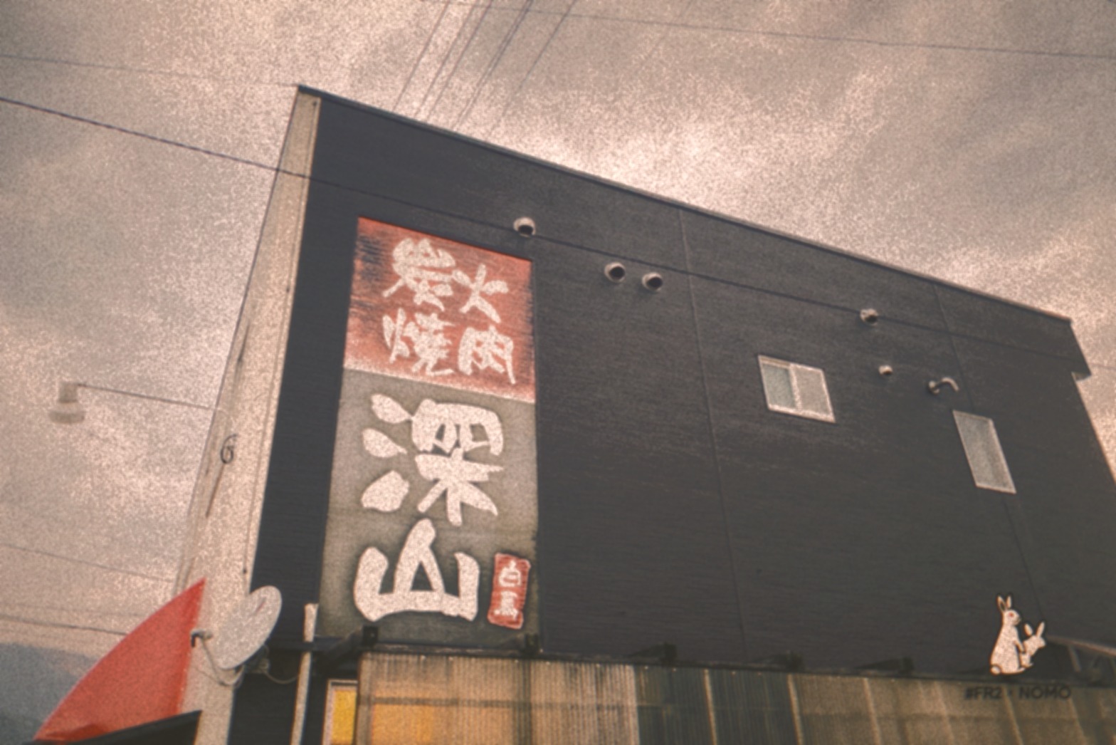 Gallery 1 photo 11