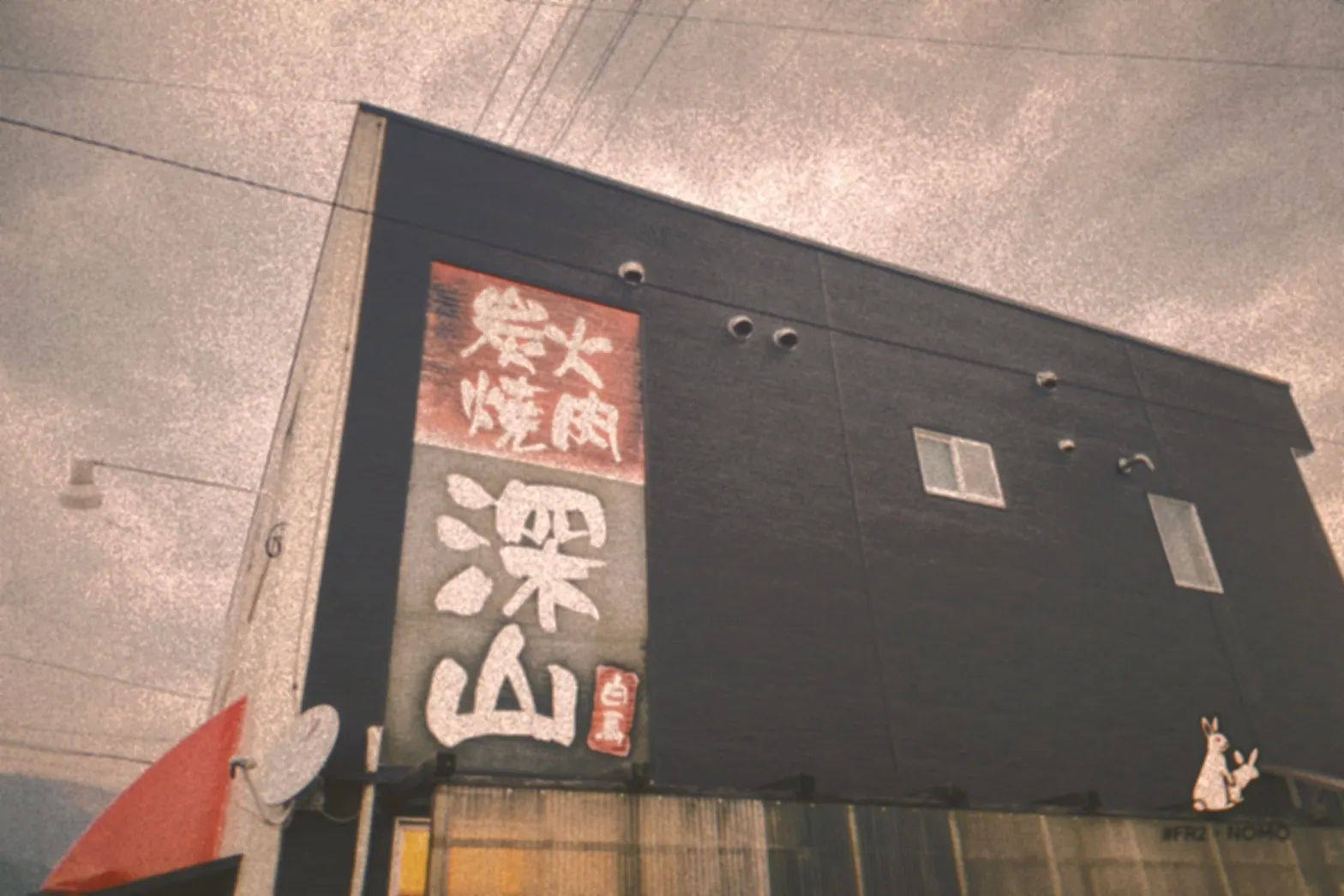 Gallery 1 photo 11
