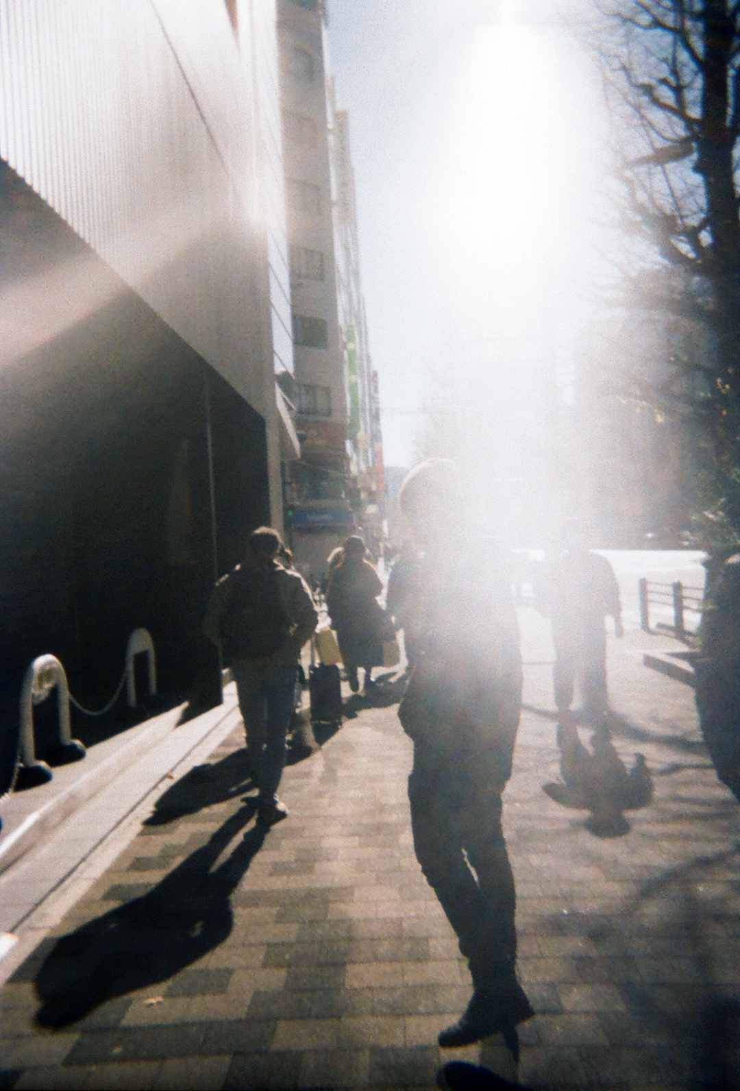 Life gallery photo 4