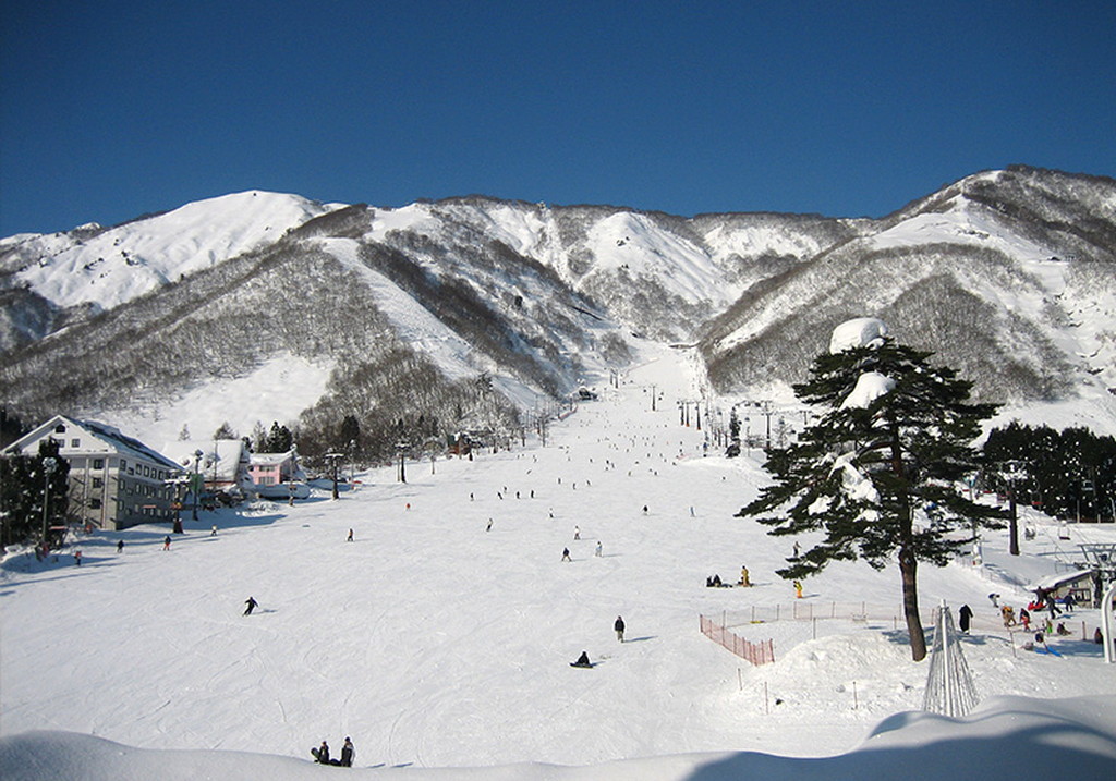 Hakuba Valley 雪季景色
